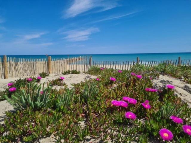 Confortable Studio Cabine - Acces Plage- Vue Mer 4Tvp38 Le Barcarès Exterior foto